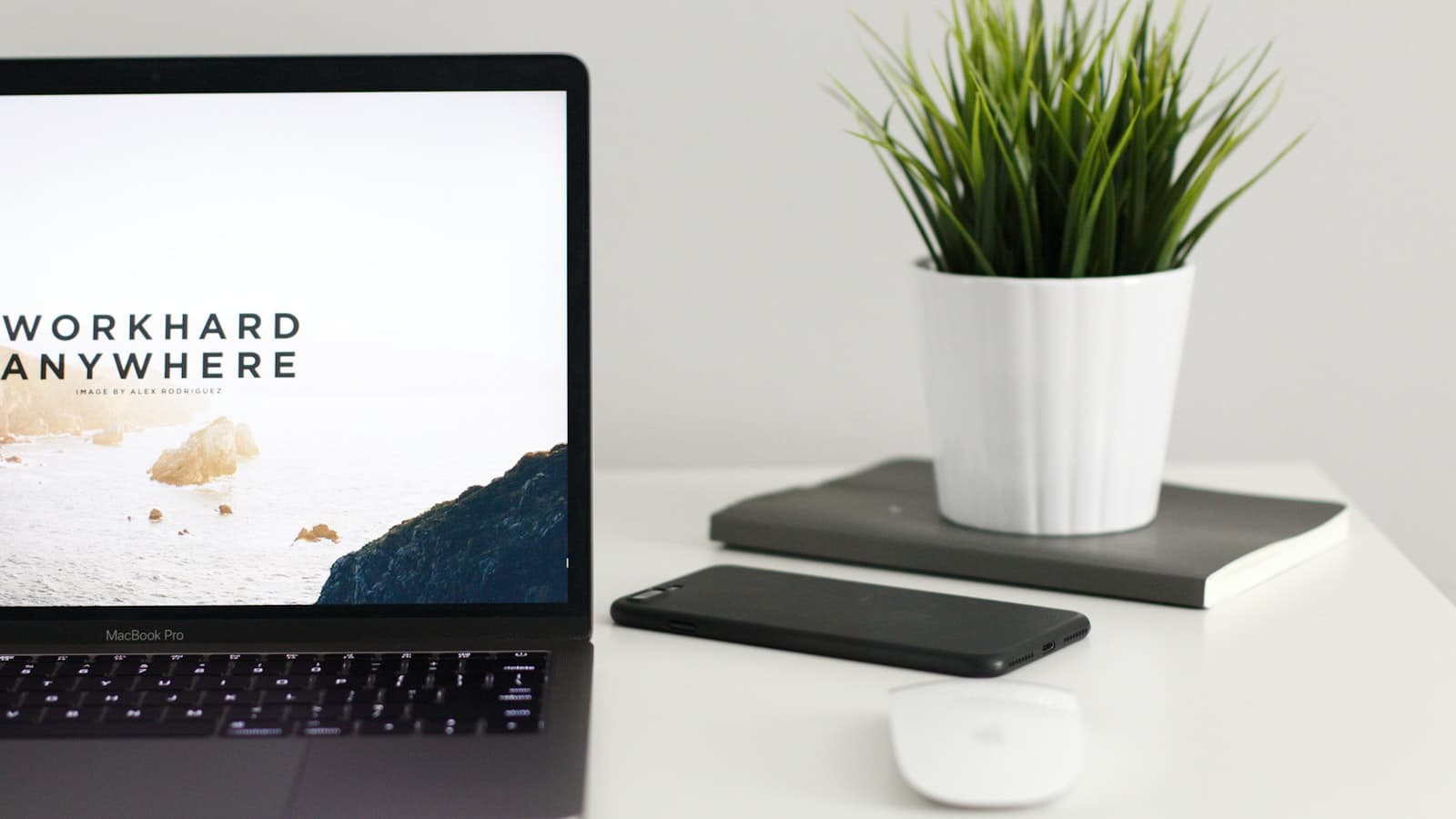 A MacBook on a table next to a green potted plant
