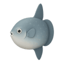 Mola